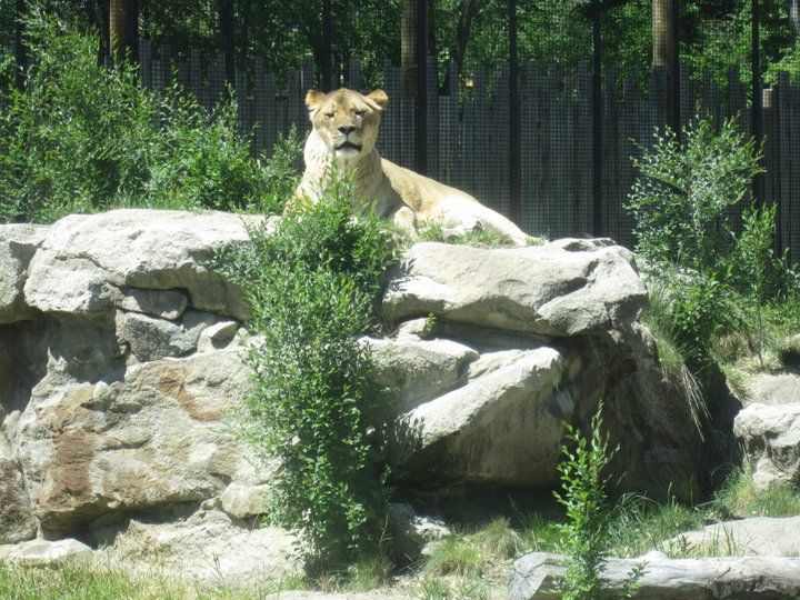 Photo of Zoo Boise, Julia Davis Drive, Boise, ID, United States by Daisy