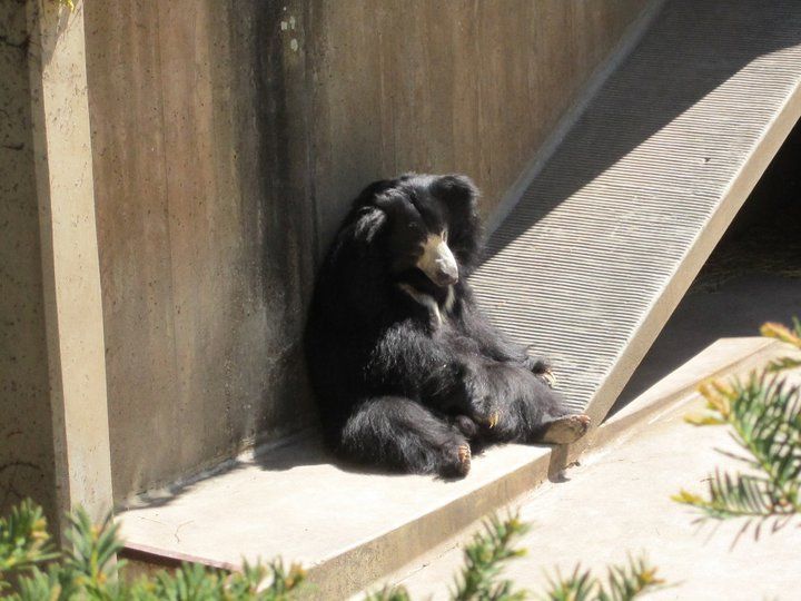 Photo of Zoo Boise, Julia Davis Drive, Boise, ID, United States by Daisy