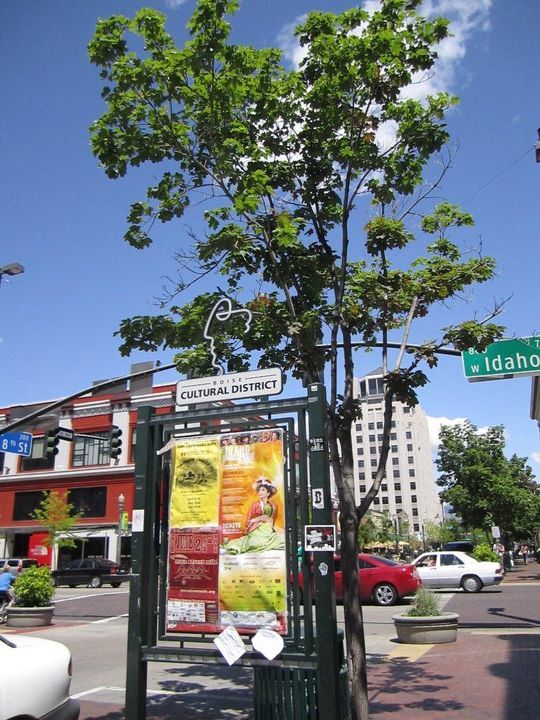 Photo of Downtown, Boise, ID, United States by Daisy