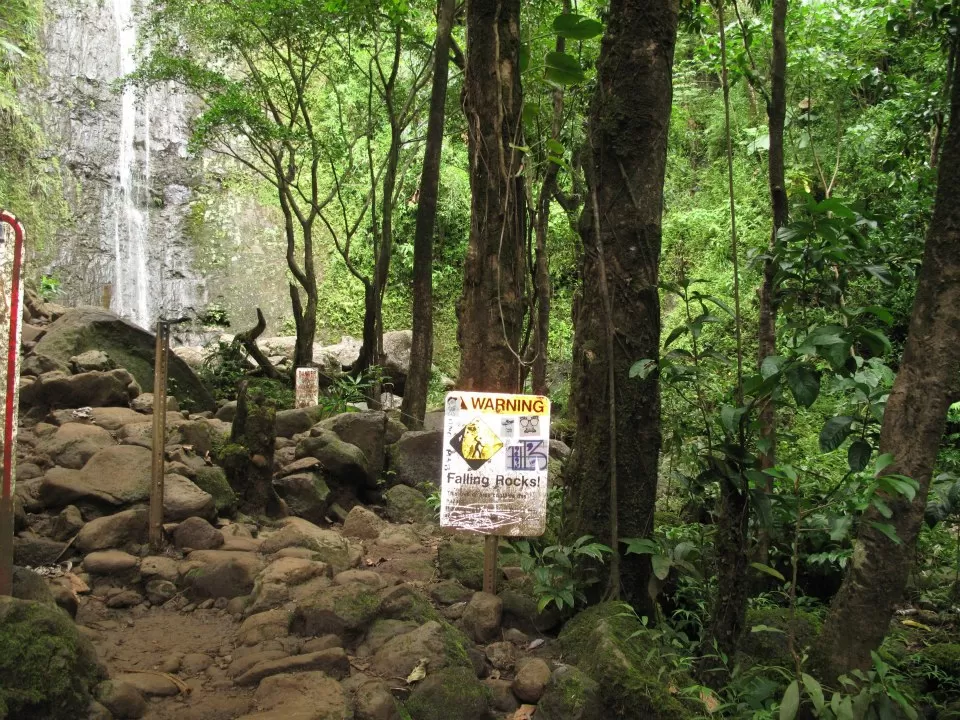 Photo of Manoa Falls Trail, Honolulu, HI, United States by Daisy