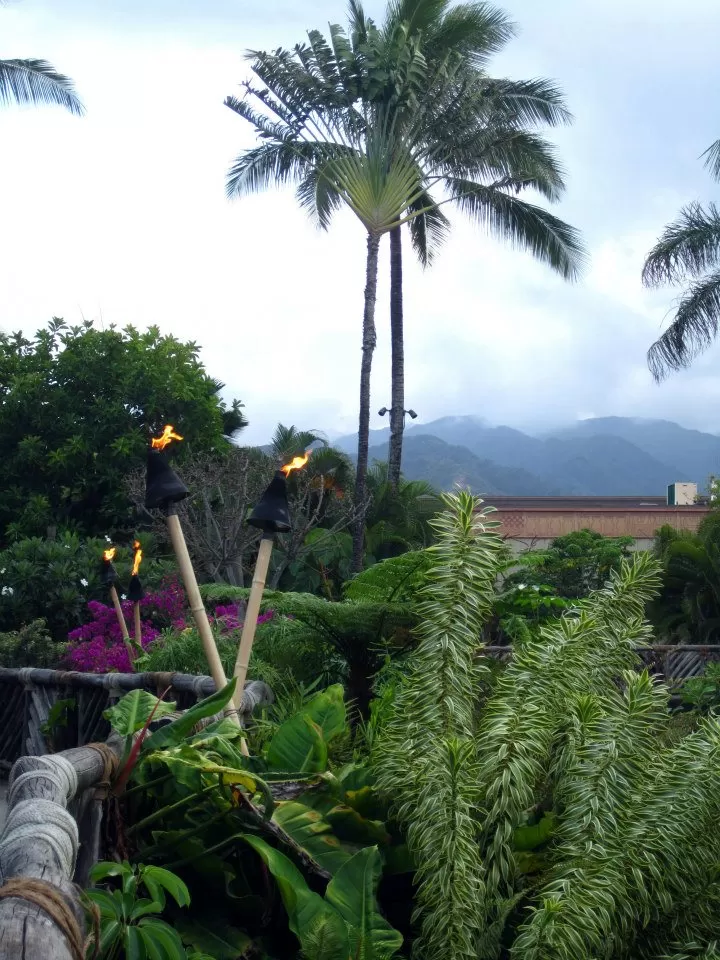 Photo of Polynesian Cultural Center, Kamehameha Highway, Laie, HI, United States by Daisy