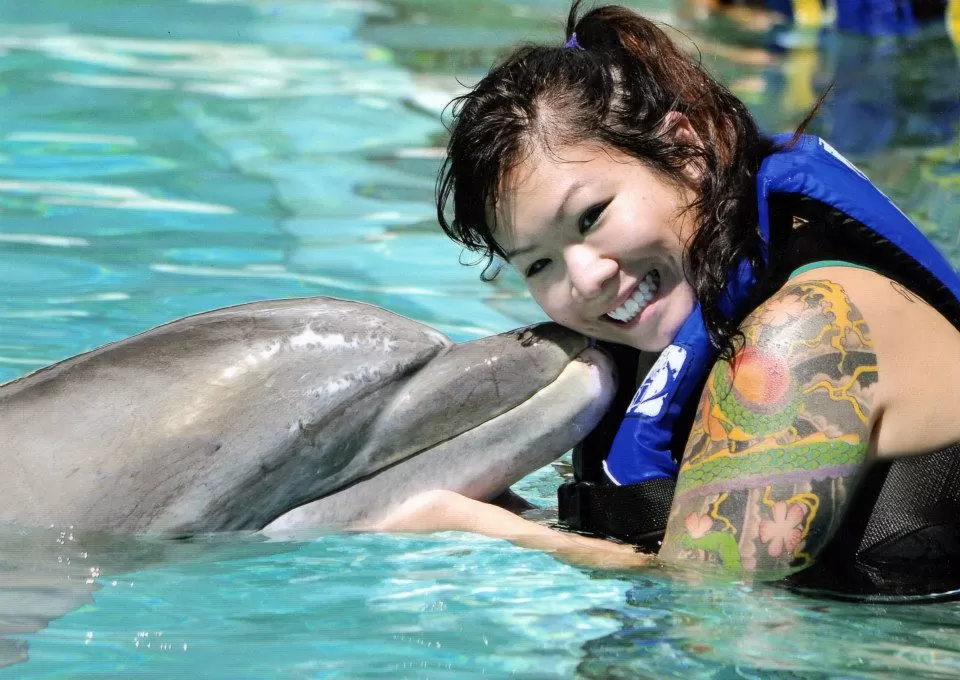 Photo of Sea Life Park Hawaii, Kalanianaole Highway, Waimanalo Beach, HI, United States by Daisy