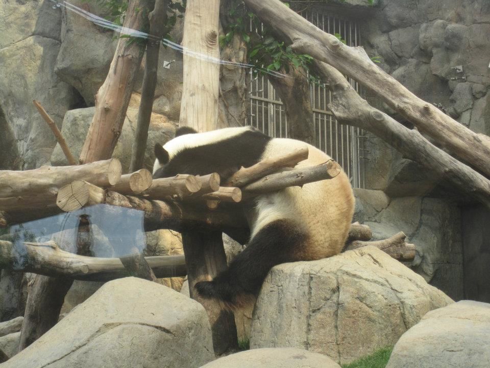 Photo of Ocean Park, Hong Kong by Daisy