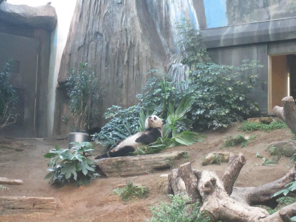Photo of Ocean Park, Hong Kong by Daisy