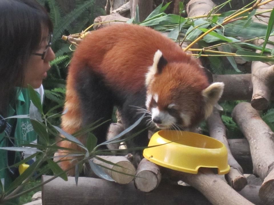 Photo of Ocean Park, Hong Kong by Daisy
