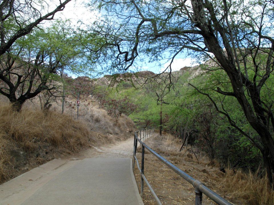 Photo of Diamond Head State Park, Honolulu, HI, United States by Daisy
