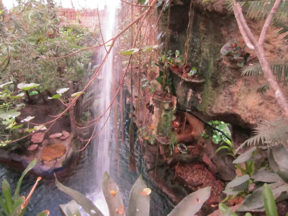 Photo of Dallas World Aquarium, North Griffin Street, Dallas, TX, United States by Daisy