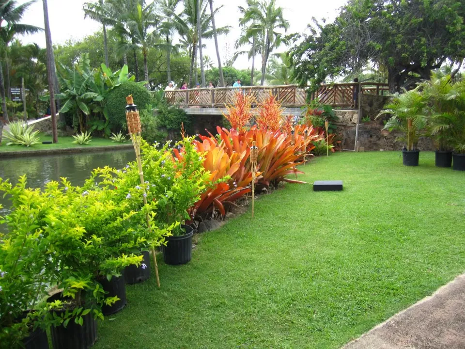 Photo of Polynesian Cultural Center, Kamehameha Highway, Laie, HI, United States by Daisy