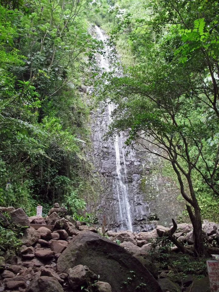 Photo of Manoa Falls Trail, Honolulu, HI, United States by Daisy