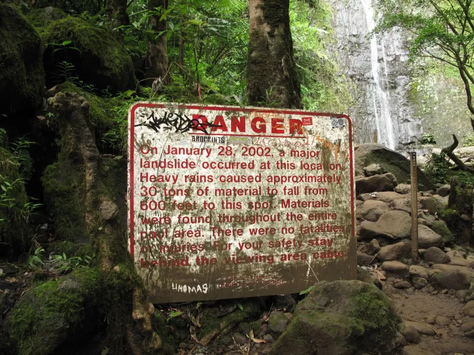 Photo of Manoa Falls Trail, Honolulu, HI, United States by Daisy