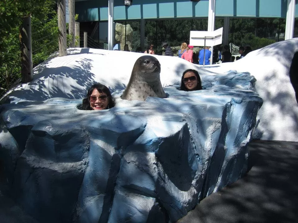 Photo of San Diego Zoo, Zoo Drive, San Diego, CA, United States by Daisy