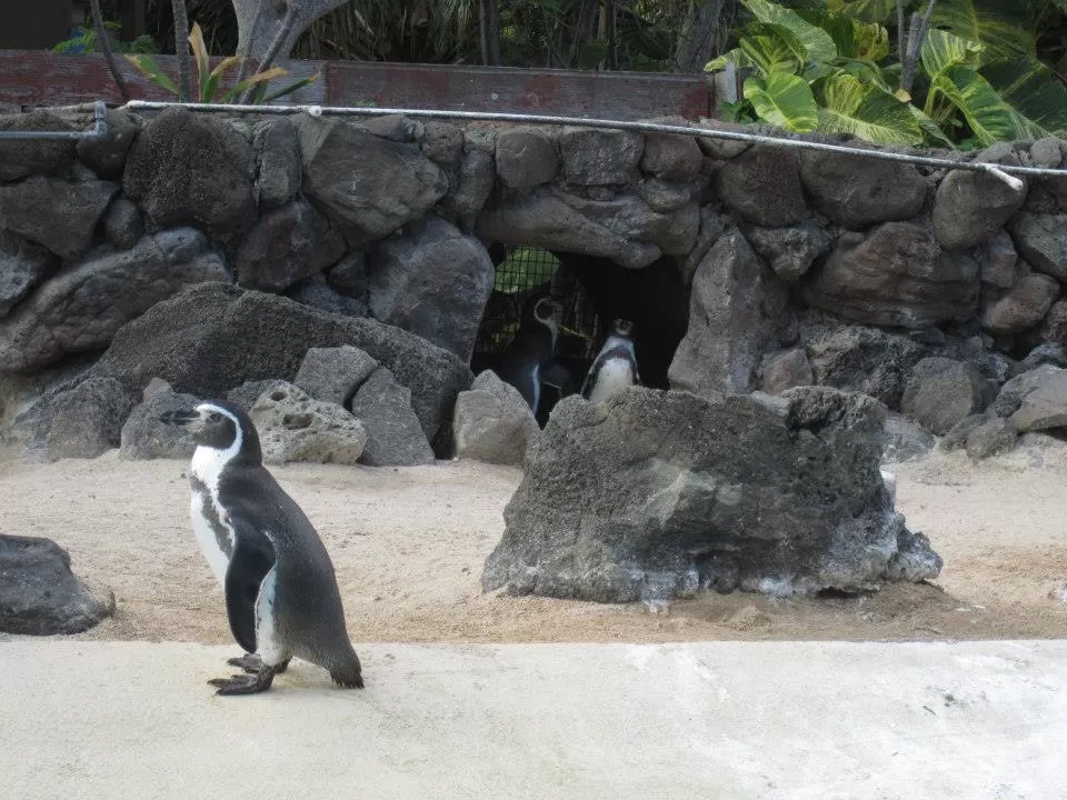 Photo of Hilton Hawaiian Village Waikiki Beach Resort, Kalia Road, Honolulu, HI, United States by Daisy