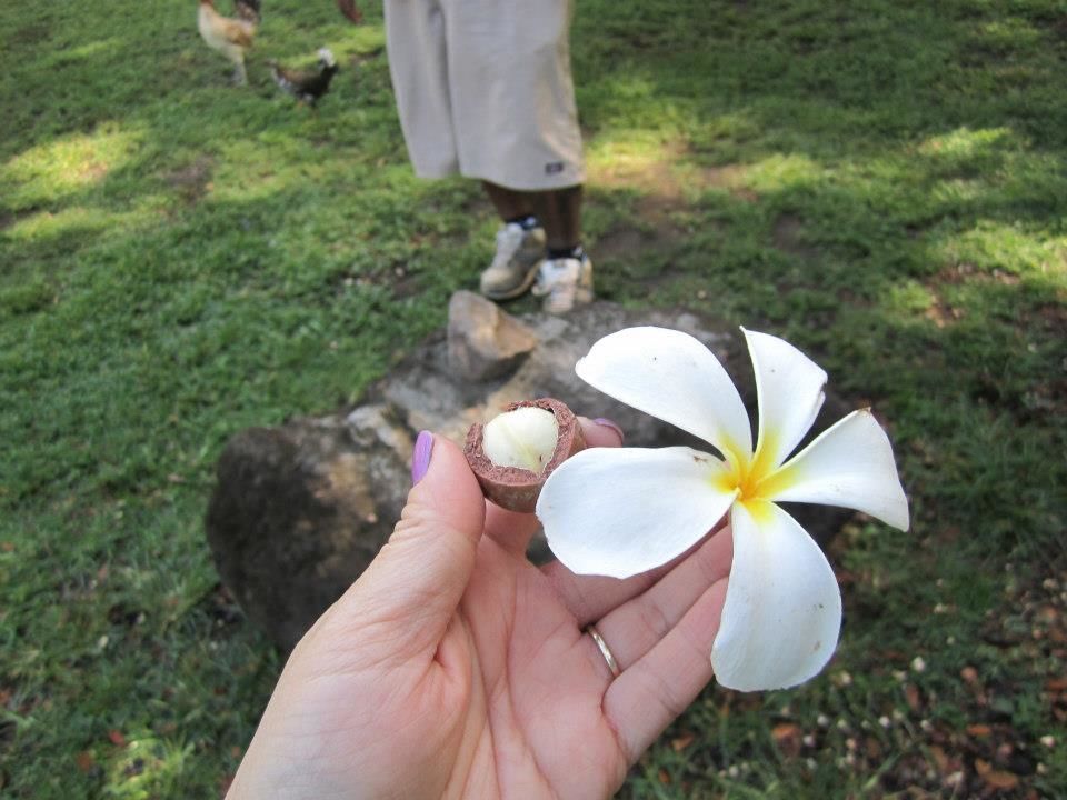 Photo of Kualoa Ranch, Kahaluu, HI, United States by Daisy