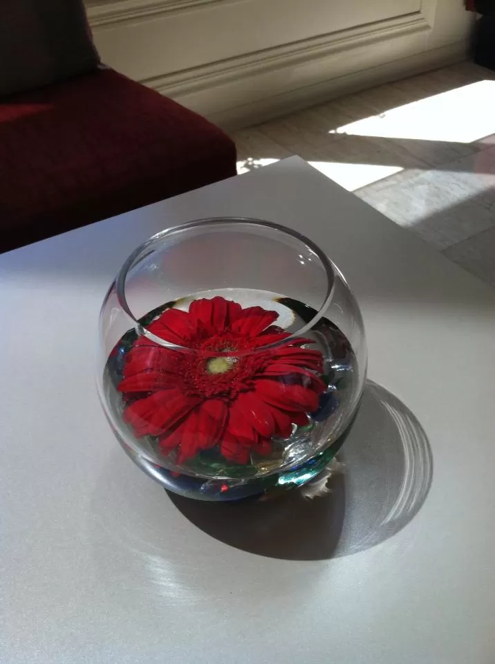 Photo of The Bristol Hotel, San Diego, CA, United States by Daisy