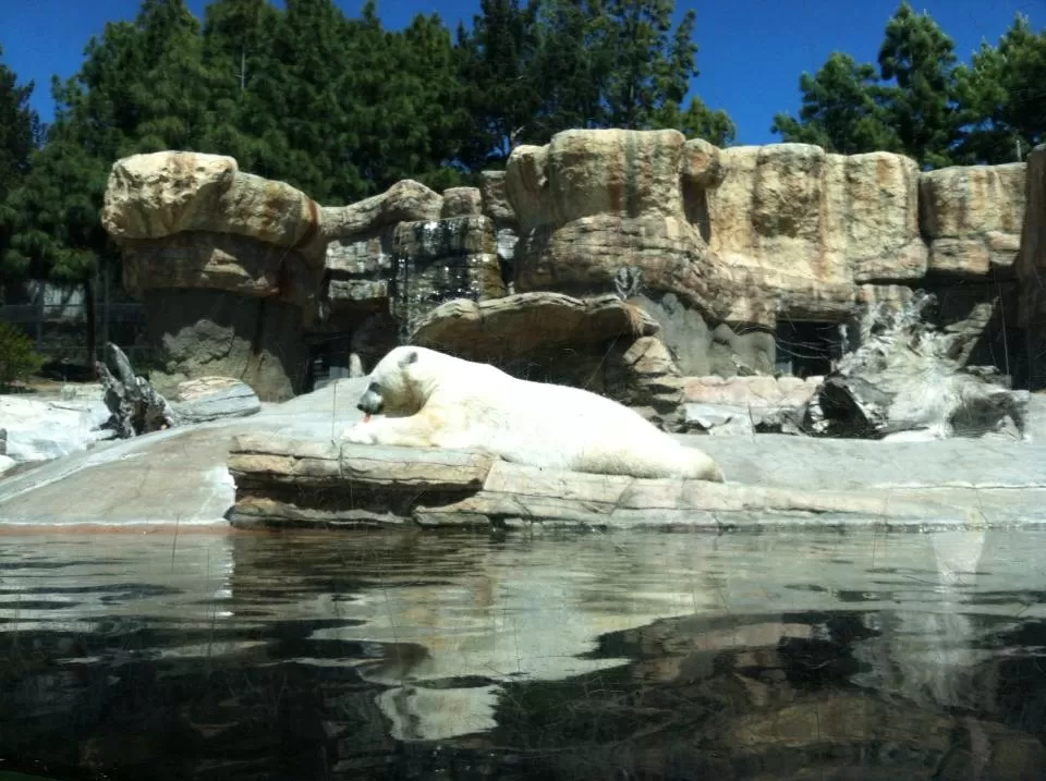 Photo of San Diego Zoo, Zoo Drive, San Diego, CA, United States by Daisy