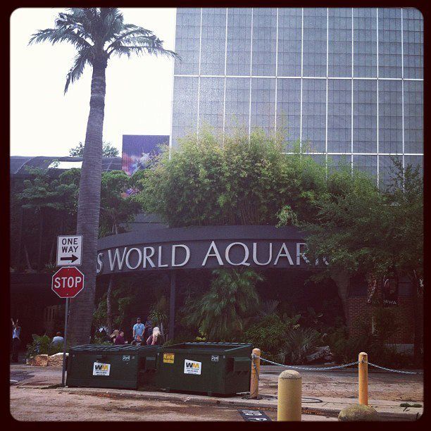 Photo of Dallas World Aquarium, North Griffin Street, Dallas, TX, United States by Daisy