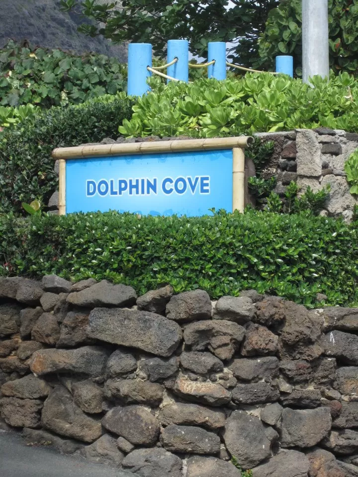 Photo of Sea Life Park Hawaii, Kalanianaole Highway, Waimanalo Beach, HI, United States by Daisy