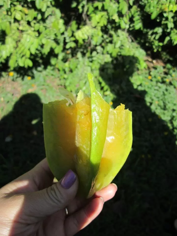 Photo of Kualoa Ranch, Kahaluu, HI, United States by Daisy