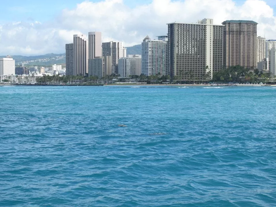 Photo of Kewalo Basin Harbor, Ala Moana Boulevard, Honolulu, HI, United States by Daisy