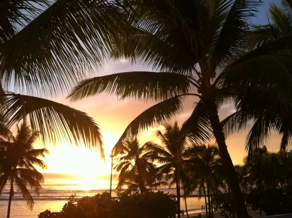 Photo of Tiki's Grill & Bar, Kalakaua Avenue, Honolulu, HI, United States by Daisy