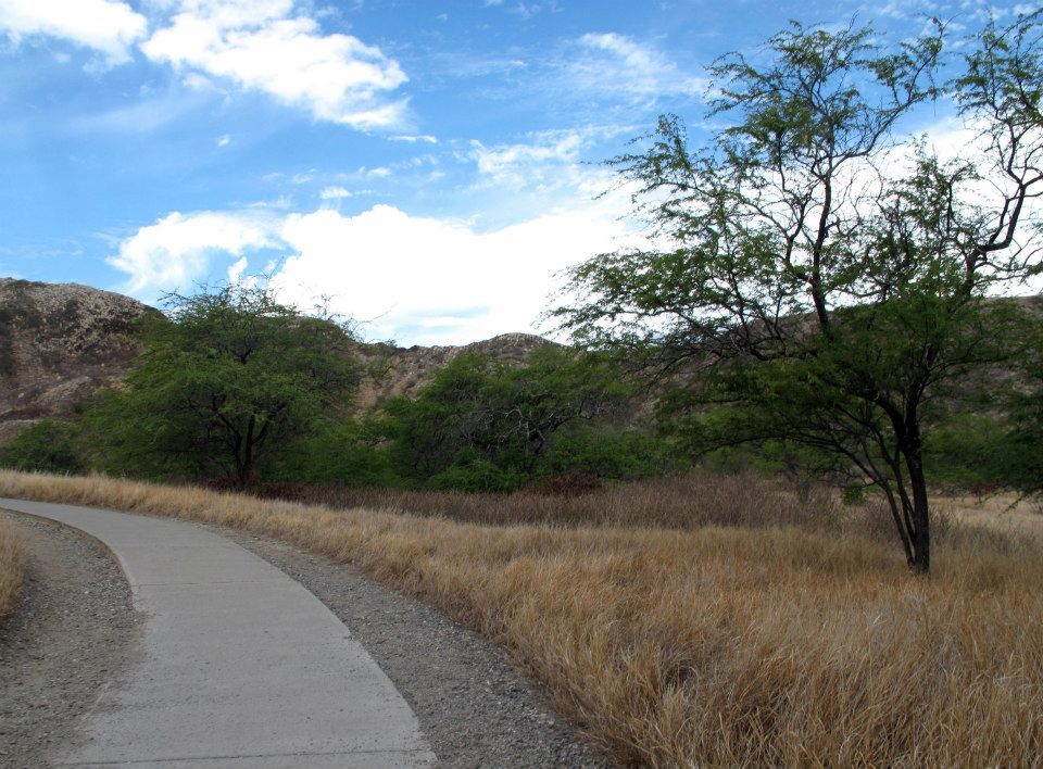 Photo of Diamond Head State Park, Honolulu, HI, United States by Daisy