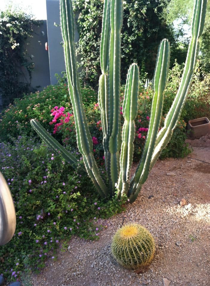 Photo of Elements Restaurant, East McDonald Drive, Paradise Valley, AZ, United States by Daisy