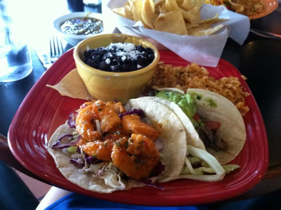 Photo of Cien Agaves, East 1st Avenue, Scottsdale, AZ, United States by Daisy