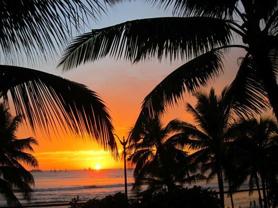 Photo of Hawaii 2012 110/140 by Daisy