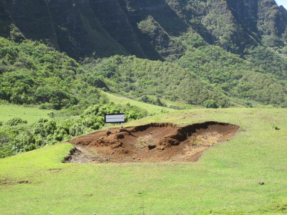 Photo of Hawaii 2012 129/140 by Daisy