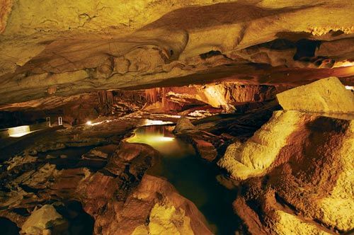 Photo of Al Hoota Caves Road, الحمراء, محافظة الداخلية, عمان by Vaisakhi Mishra