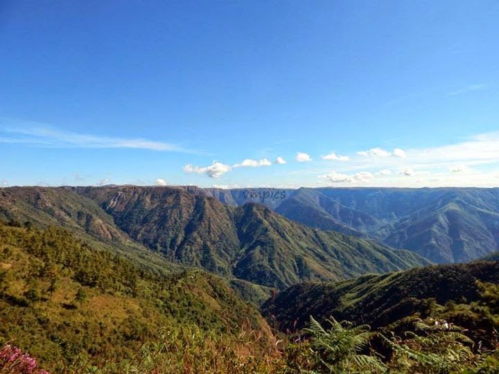 Photo of The Drive To Mawlynnong, Meghalaya 1/5 by Vaisakhi Mishra