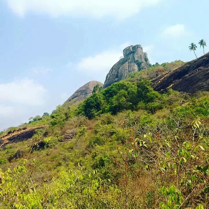 Photo of Moodabidri: Go back to nature to come back to life.... by Sushmita Haldar