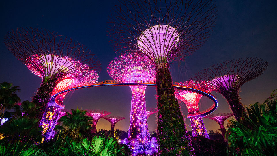 Photo of Garden Rhapsody | Gardens by the Bay by Mansi