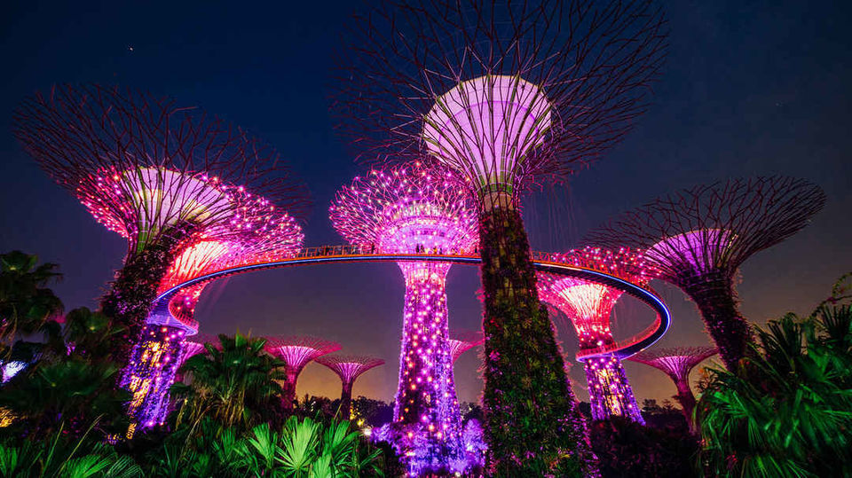 Photo of Garden Rhapsody | Gardens by the Bay by Mansi