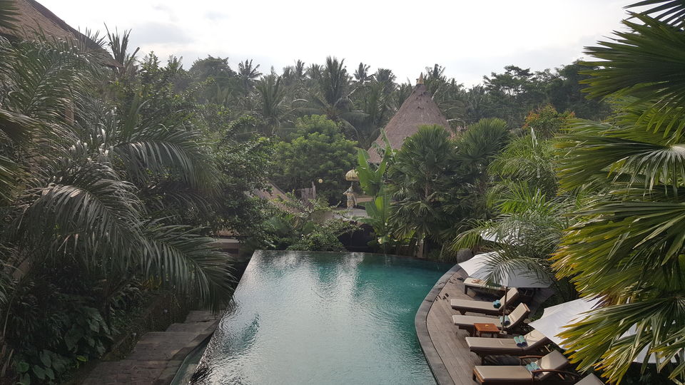 Photo of A comprehensive Bali Travel Guide | 5 days 1/2 by Mansi