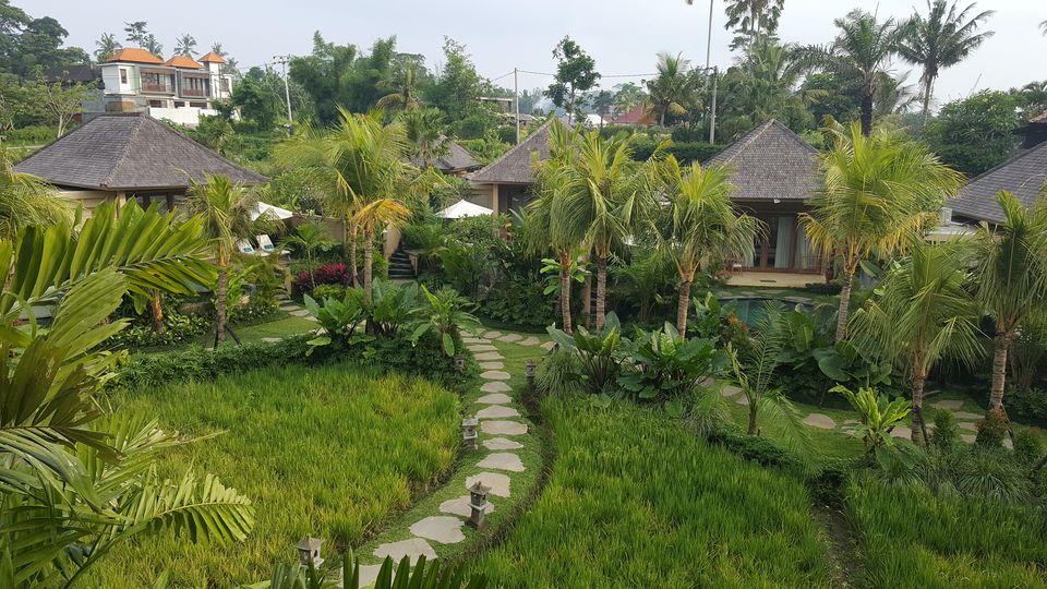 Photo of A comprehensive Bali Travel Guide | 5 days 2/2 by Mansi