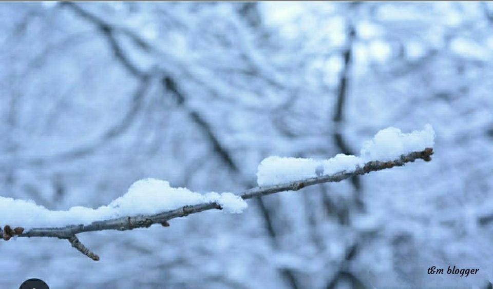 Photo of A hidden paradise of Himachal for snow lovers - Old Manali in December by Medha & Meha