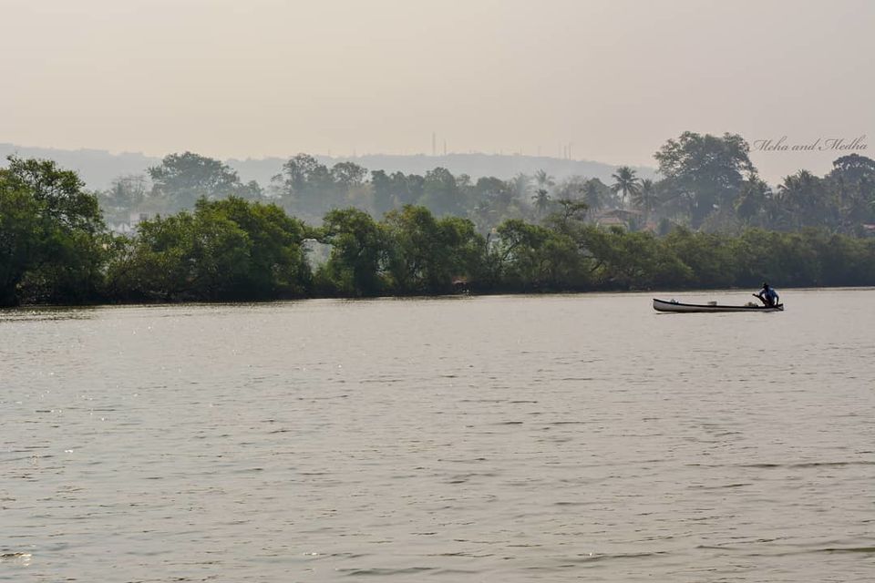 Photo of The other side of Goa! Crocodiles, Fish and Spice! by Medha & Meha