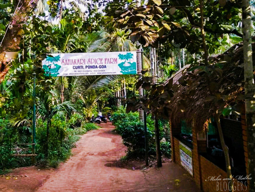 Photo of The other side of Goa! Crocodiles, Fish and Spice! 2/3 by Medha & Meha