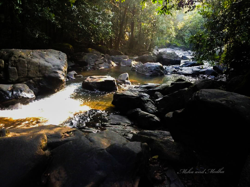 Photo of The other side of Goa! Crocodiles, Fish and Spice! 3/3 by Medha & Meha