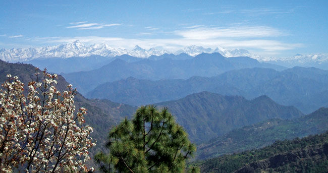 Abbott Mount Uttarakhand from Delhi, How to Reach Abbott Mount from ...