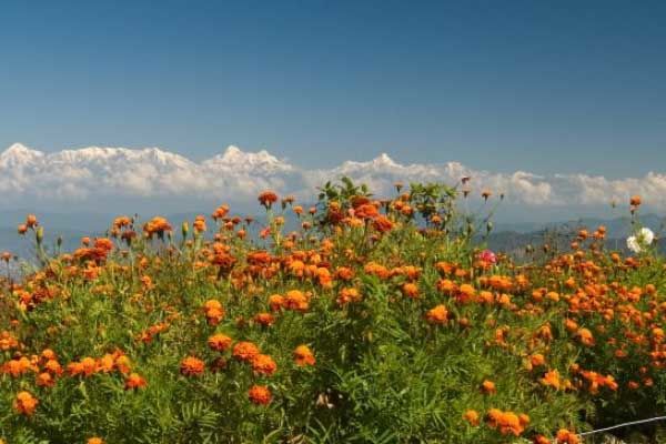 Photo of Kausani 4/4 by Samiksha vVasudeva