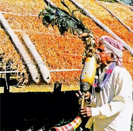 Photo of Dang, Gujarat, India by Krutarth Patel