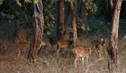 Photo of Silvassa and Daman, India by Krutarth Patel