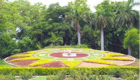 Photo of Vadodara, Gujarat, India by Krutarth Patel