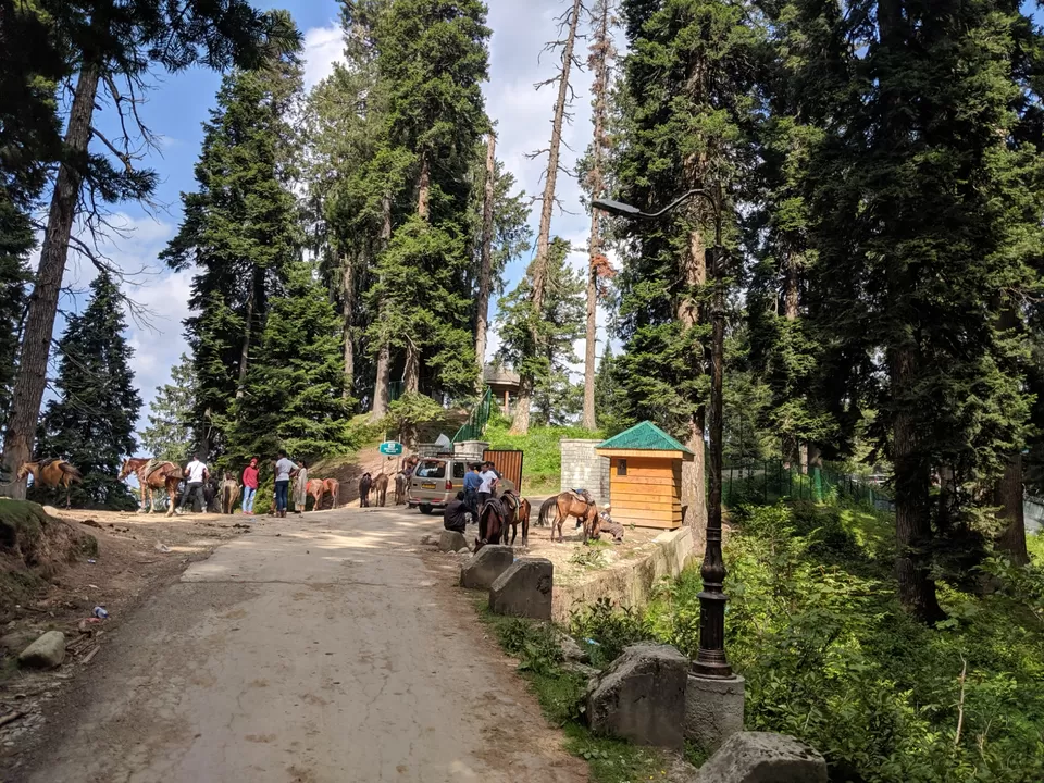 Photo of Gulmerg- The heaven by Ankit Joshi