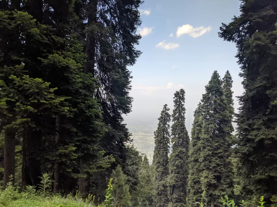 Photo of Gulmerg- The heaven by Ankit Joshi