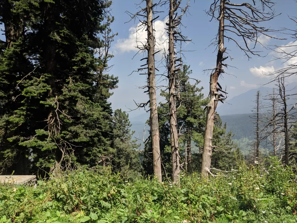 Photo of Gulmerg- The heaven by Ankit Joshi