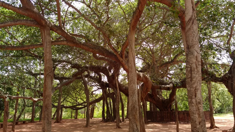 Photo of Auroville, Bommayapalayam, Pondicherry, Tamil Nadu, India by Dominic Liang