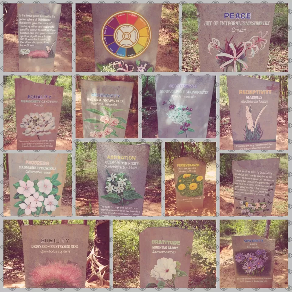 Photo of Auroville, Bommayapalayam, Pondicherry, Tamil Nadu, India by Dominic Liang